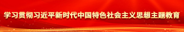 看肏逼视频学习贯彻习近平新时代中国特色社会主义思想主题教育